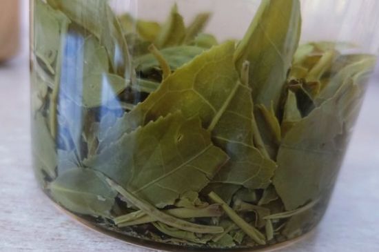 綠茶陳茶和新茶區(qū)別，綠茶怎樣區(qū)分新茶和陳茶