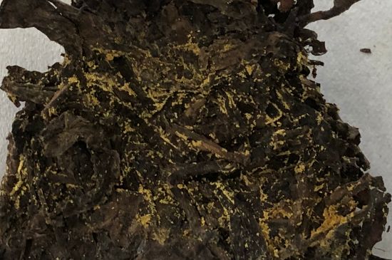 怎么知道涇渭茯茶是否變質(zhì)，茯磚茶金花和發(fā)霉的區(qū)別