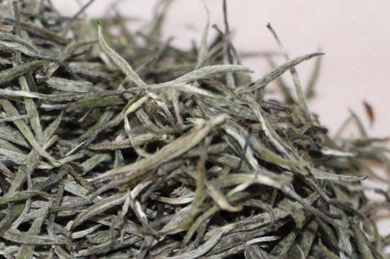 什么人不能喝白茶，白茶不宜什么人喝？