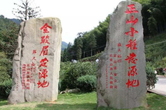 300塊錢的金駿眉能喝嗎，兩三百多金駿眉和一千多區(qū)別