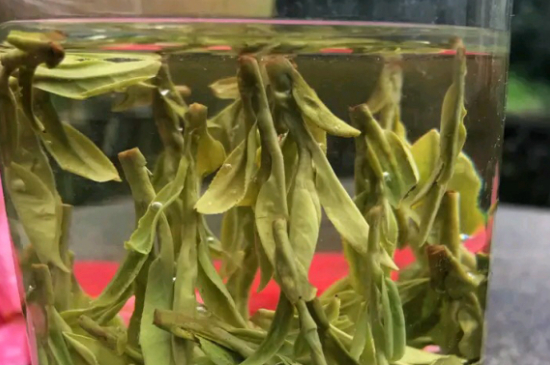 什么綠茶最香最好喝，綠茶口感與香氣排名