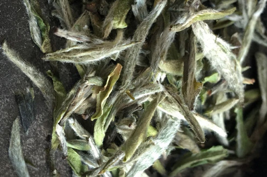 白毫銀針年份久的有什么香，陳年白毫銀針的香氣