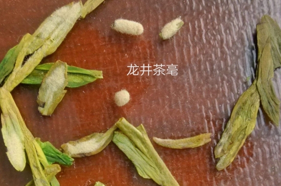 西湖龍井茶毫和發(fā)霉區(qū)別圖片，長(zhǎng)霉的龍井茶葉會(huì)是什么樣？