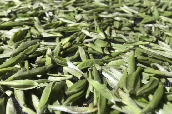 白毫銀針年份久的有什么香，陳年白毫銀針的香氣