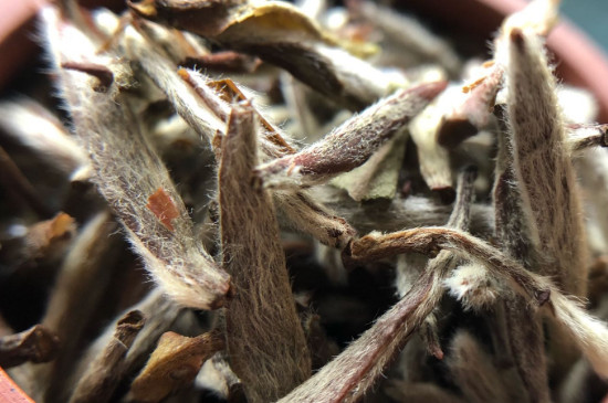 白毫銀針年份越久越好嗎，銀針白毫是否越陳越好