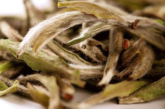 荒野銀針有什么特點，荒野銀針的味道口感咋樣？