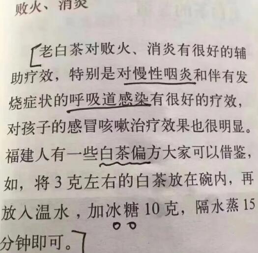 老白茶上火還是去火？夏季喝煮的老白茶會(huì)容易上火！