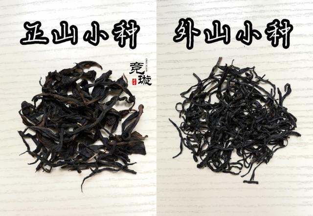 正山小種很細還很黑亮，正山小種越細越好嗎