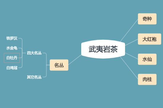 武夷巖茶品種大全，巖茶有幾種？