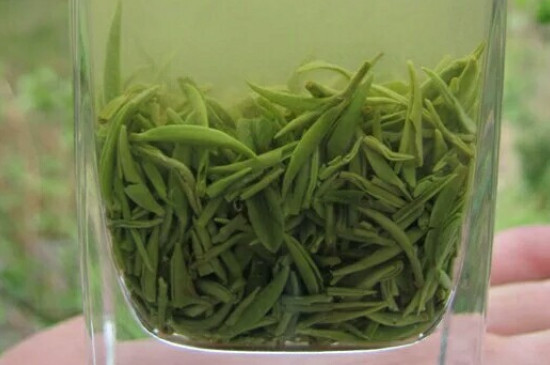 什么綠茶茶葉唇齒留香，哪個品種綠茶香氣好？