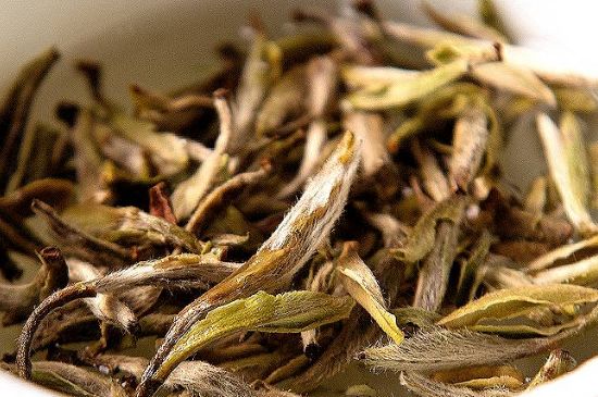 荒野銀針市場價多少，真正的荒野白毫銀針多少錢？