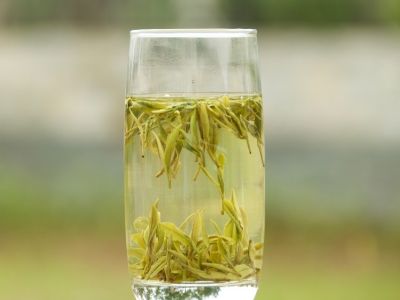 霍山黃芽算是好茶嗎，霍山黃芽屬于什么茶？
