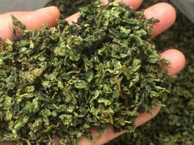 鐵觀音毛茶茶?？梢耘菟葐幔F觀音帶梗是不是好茶？