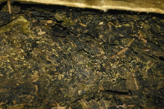 黑茶茯茶保存五大忌，茯茶收藏的注意事項