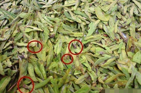 烏牛早和龍井的區(qū)別圖片，龍井43號(hào)和烏牛早茶的對(duì)比