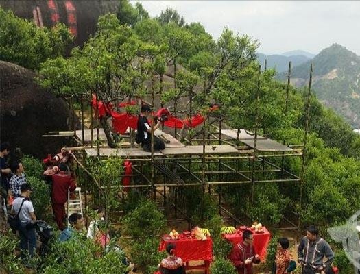 宋種一號(hào)價(jià)值為什么高，鳳凰單樅宋種1號(hào)價(jià)格與產(chǎn)量多少？