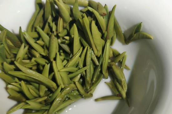 竹葉青茶怎么泡，竹葉青如何沖泡