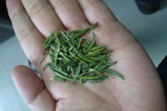 竹葉青茶怎么泡，竹葉青如何沖泡