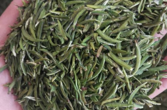 金壇雀舌算不算好茶，金壇雀舌屬于什么檔次茶葉？