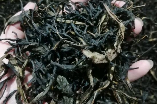 蜜蘭香好還是鴨屎香好，鳳凰單叢茶蜜蘭香和鴨屎香特點有哪些？