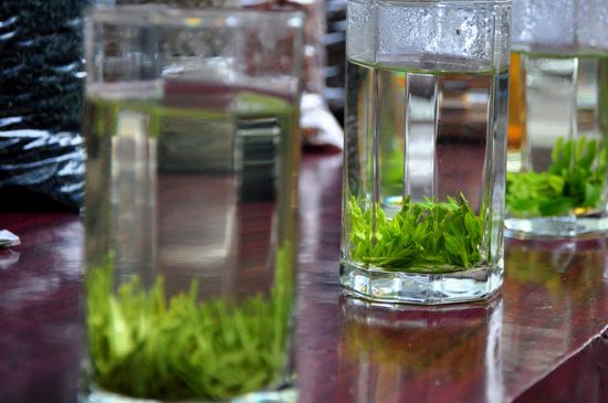 綠茶放了三年還能喝嗎，綠茶放久了喝了會怎樣