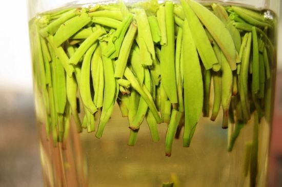 雀舌為何喝著是苦的，雀舌味道怎么那么苦澀？